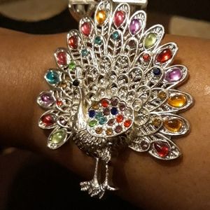 Beautiful Silver Peacock